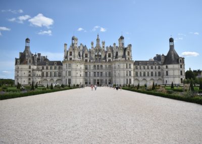 Loire Castle