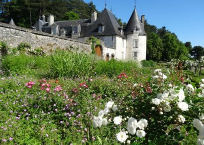 Loire castle day time