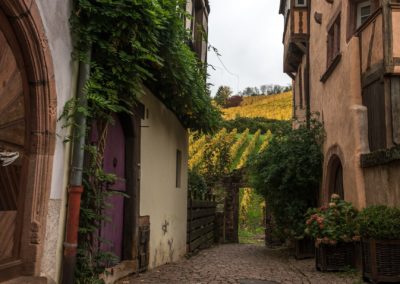Riquewihr Alsace