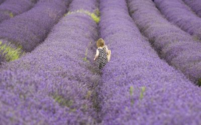 France Top 5 Activities
