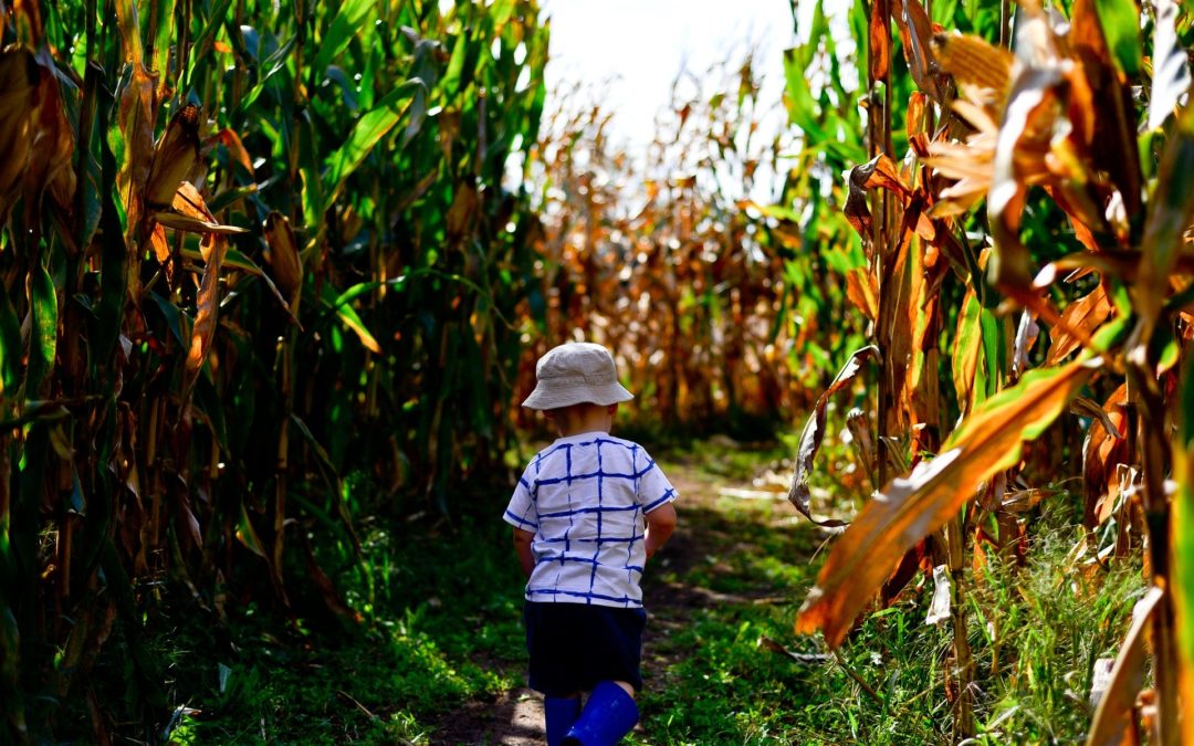 Top 5 of the Best Activities in the UK