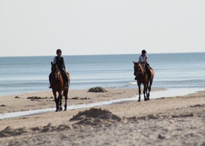 Horseback riding in Ireland