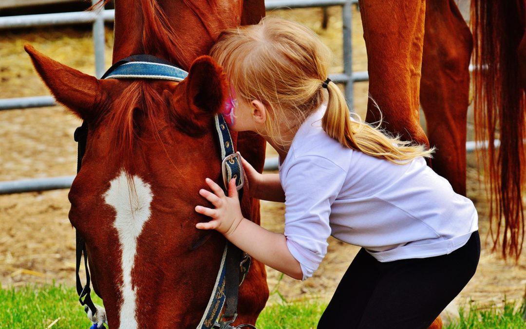 Ireland Top 5 Activities